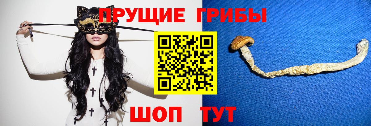 Нижний Новгород  Псилоцибиновые грибы GOLDEN TEACHER  Вход с VPN 